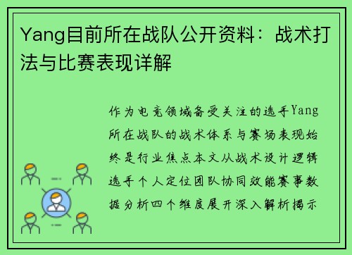 Yang目前所在战队公开资料：战术打法与比赛表现详解